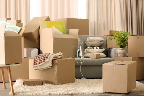 Small removals and moving vehicle options
